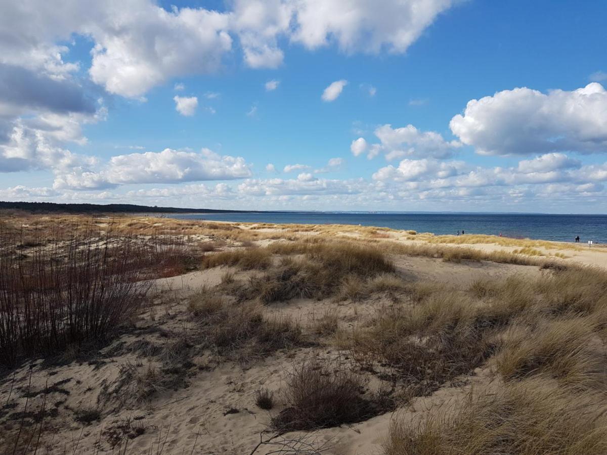 Papaja Caloroczny Na Wyspie Sobieszewskiej Appartamento Danzica
