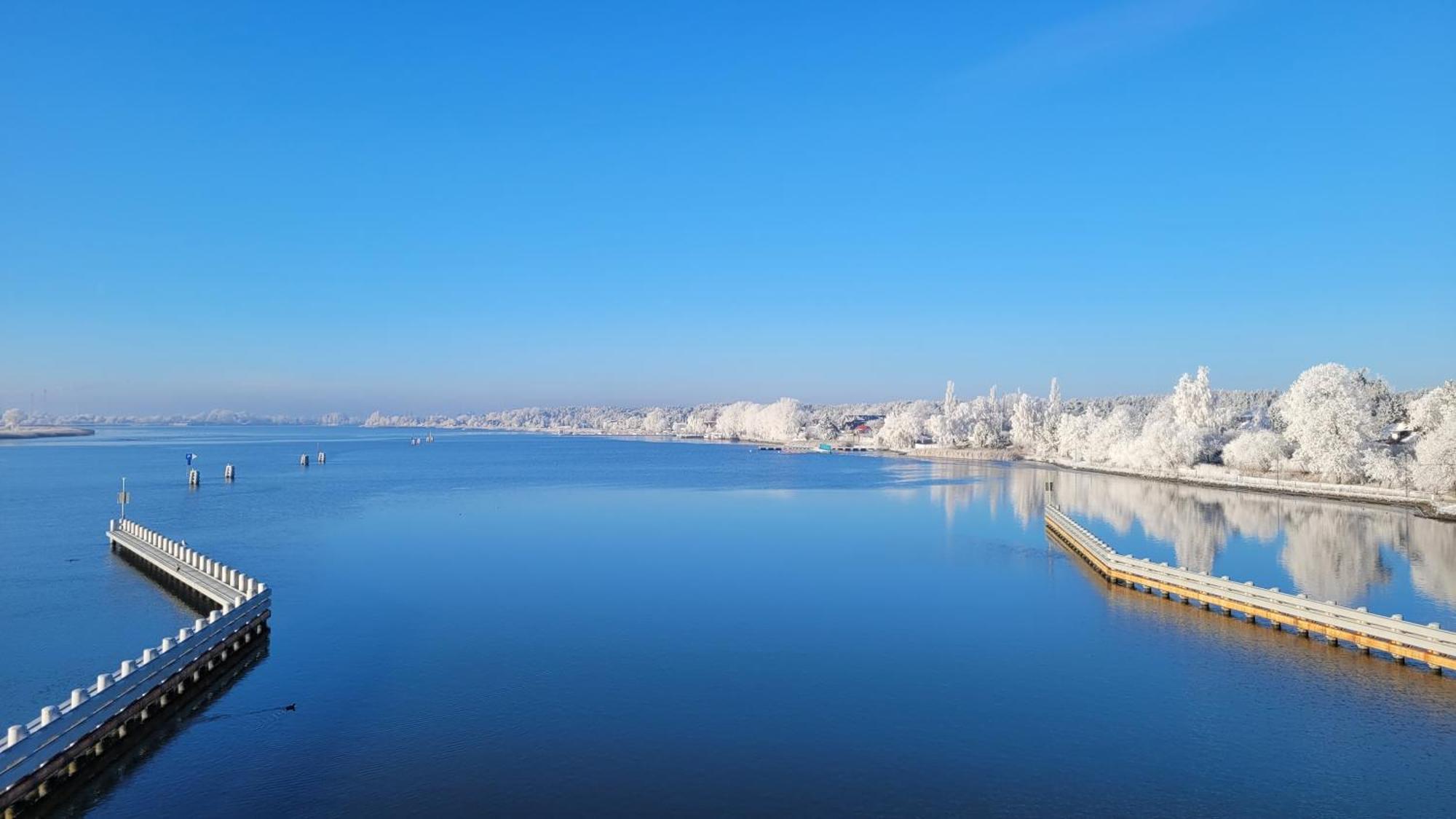 Papaja Caloroczny Na Wyspie Sobieszewskiej * Danzica