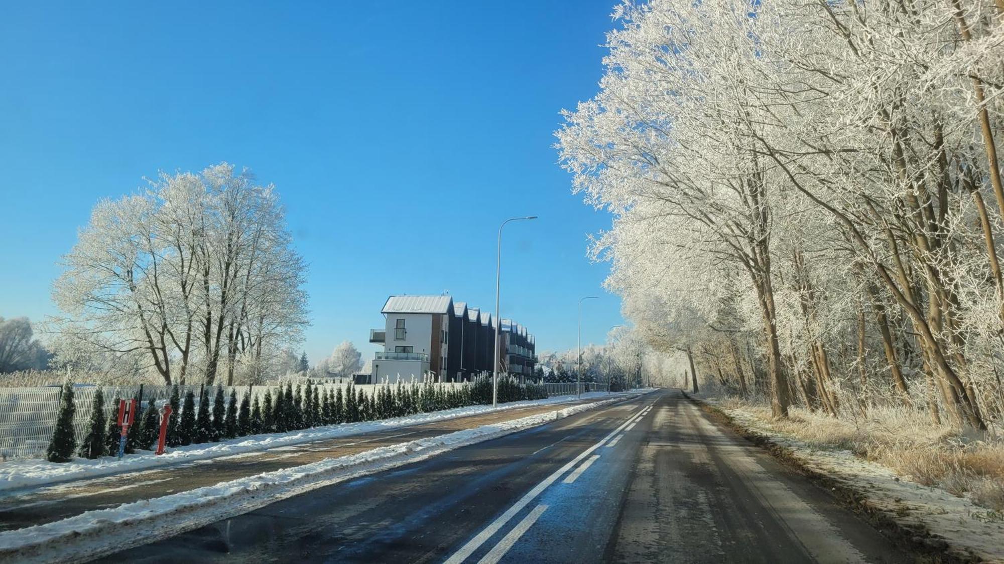 Papaja Caloroczny Na Wyspie Sobieszewskiej * Gdańsk